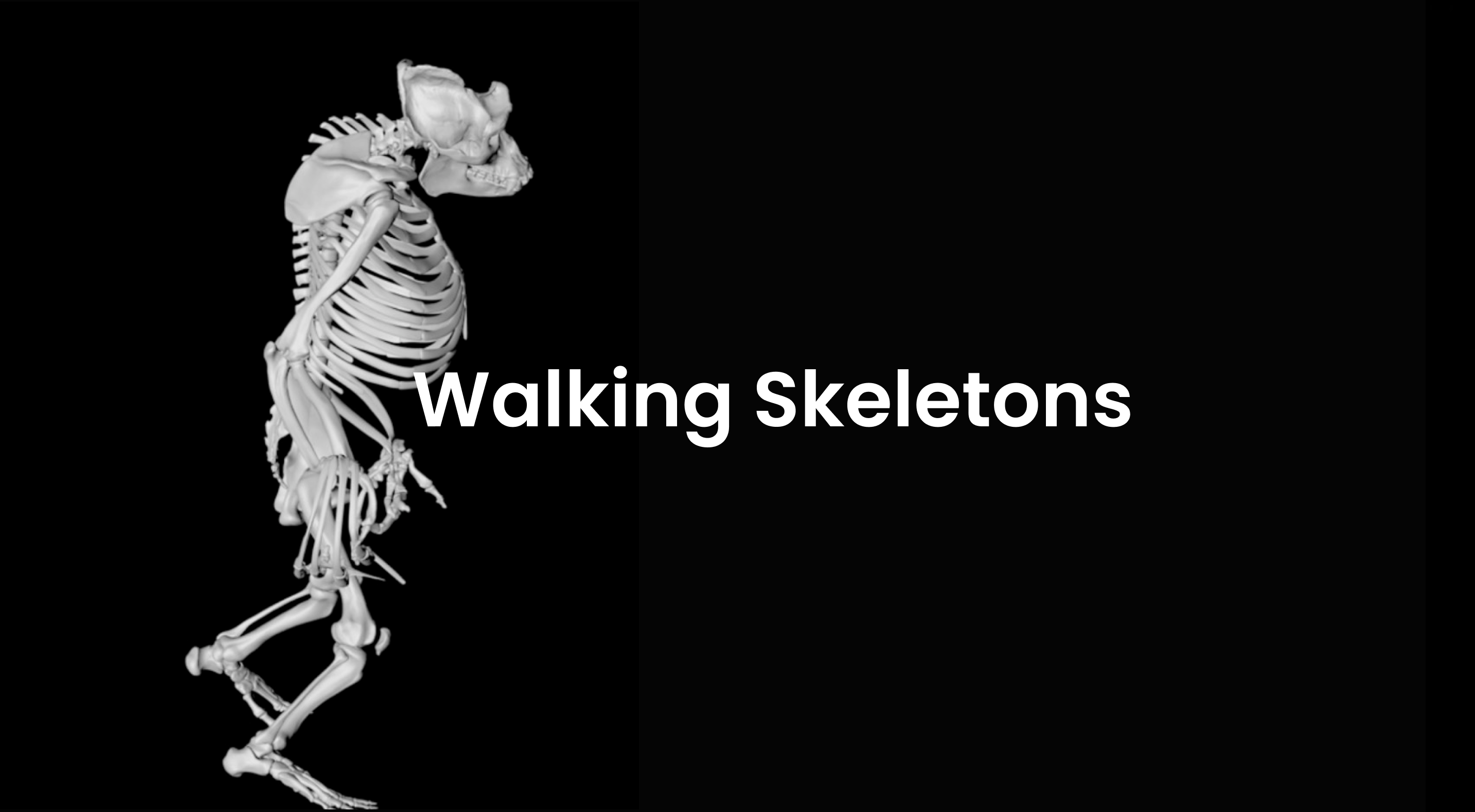 Walking Skeletons Halloween Digital Decorations for Haunted House